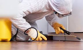 Best Real Estate Pest Inspections  in Lutz, FL